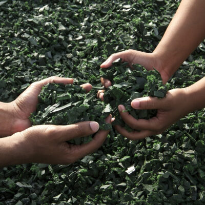 ¿Por qué es importante el reciclaje?